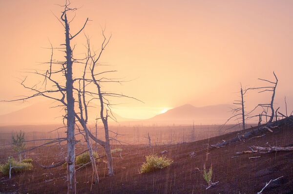 Belleza volcánica: los secretos de la misteriosa Kamchatka - Sputnik Mundo