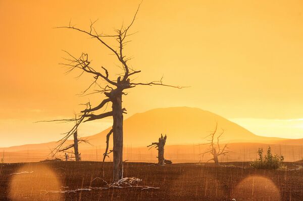 Belleza volcánica: los secretos de la misteriosa Kamchatka - Sputnik Mundo