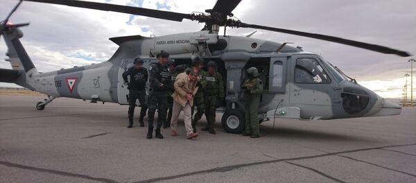 La extradición del narcotraficante el 'Chapo' Guzmán a EEUU La extradición del narcotraficante el 'Chapo' Guzmán a EEUU - Sputnik Mundo