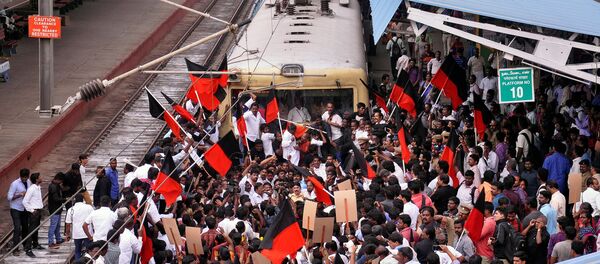 Protestas contra la prohibición de la tradición India Jallikattu Protestas contra la prohibición de la tradición India Jallikattu - Sputnik Mundo