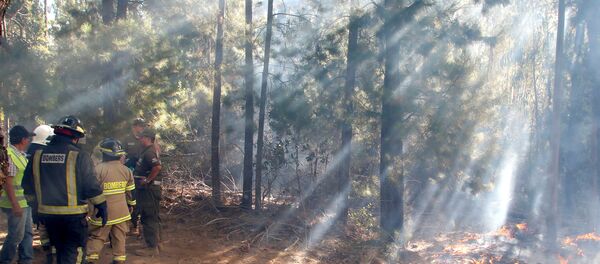 Los incendios forestales en Chile - Sputnik Mundo
