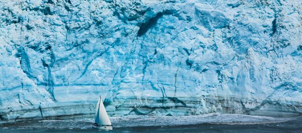 Antártida - Sputnik Mundo