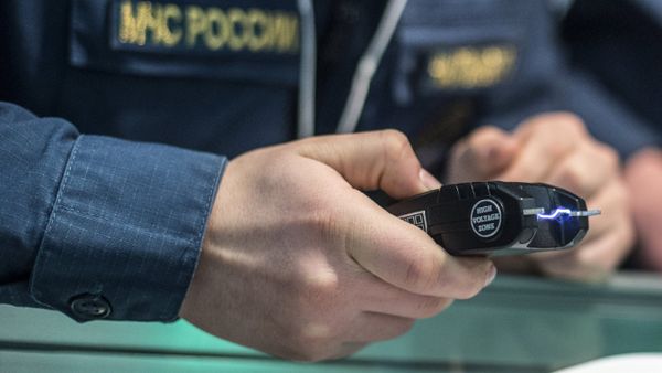 Una porra eléctrica Una porra eléctrica - Sputnik Mundo