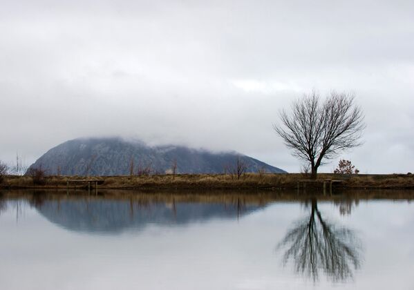 Sueño invernal en Crimea - Sputnik Mundo