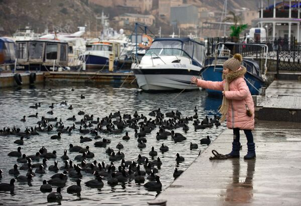 Sueño invernal en Crimea - Sputnik Mundo