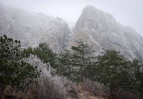 Sueño invernal en Crimea - Sputnik Mundo