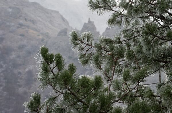 Sueño invernal en Crimea - Sputnik Mundo