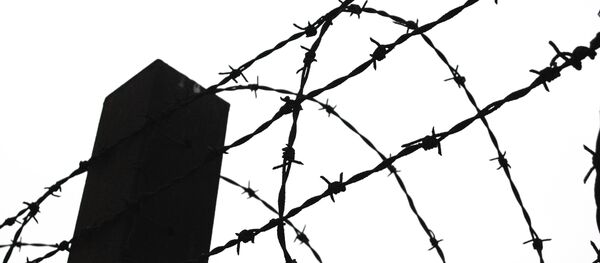 Cárcel (ilustración) - Sputnik Mundo