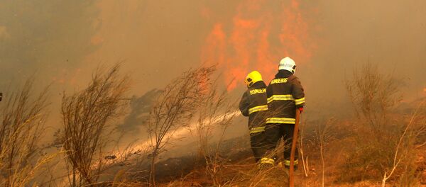 Bomberos apagan un incendio forestal en Chile - Sputnik Mundo