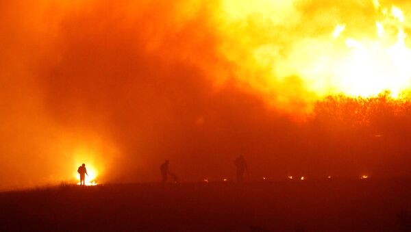 Incendios forestales en Chile - Sputnik Mundo