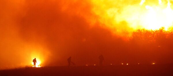 Incendios forestales en Chile Incendios forestales en Chile - Sputnik Mundo