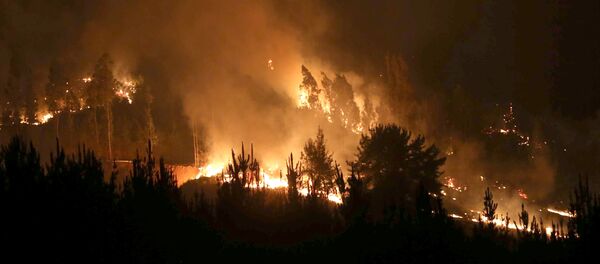 Incendios forestales en Chile - Sputnik Mundo