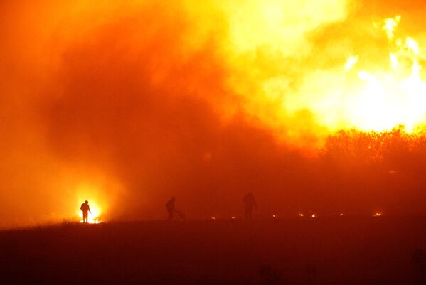 Incendios forestales en Chile - Sputnik Mundo