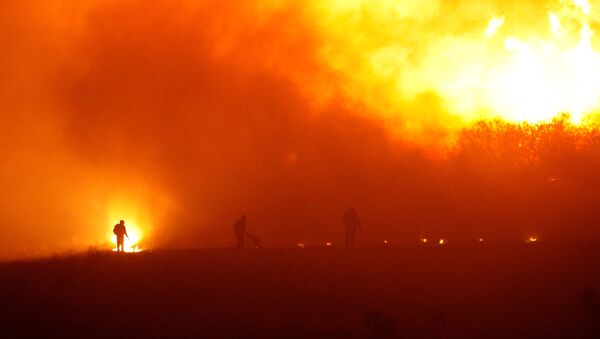 Incendios forestales en Chile - Sputnik Mundo