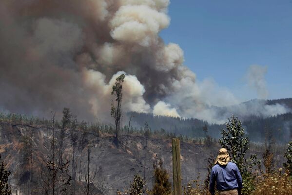 Incendios forestales en Chile - Sputnik Mundo