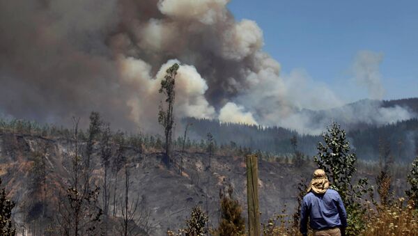 Incendio en Chile - Sputnik Mundo