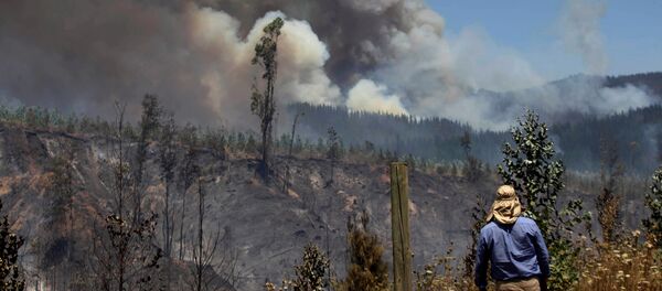 Incendio en Chile Incendio en Chile - Sputnik Mundo