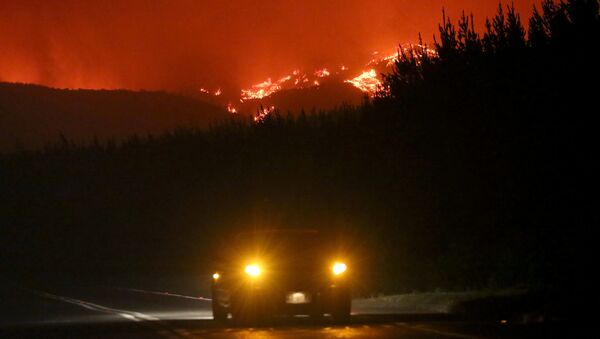 Incendios forestales en Chile - Sputnik Mundo