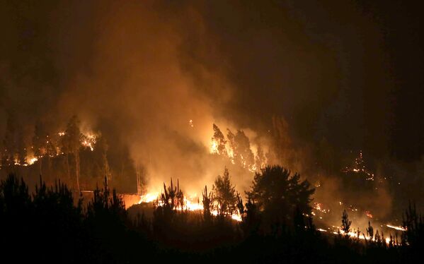 Incendios forestales en Chile - Sputnik Mundo