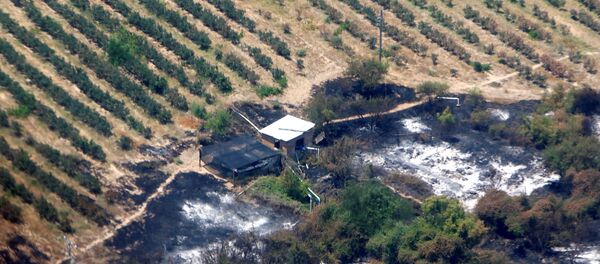 Las consecuencias de incendios en Chile Las consecuencias de incendios en Chile - Sputnik Mundo