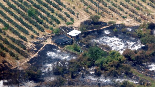 Las consecuencias de incendios en Chile Las consecuencias de incendios en Chile - Sputnik Mundo