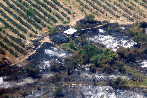 Incendios forestales en Chile - Sputnik Mundo