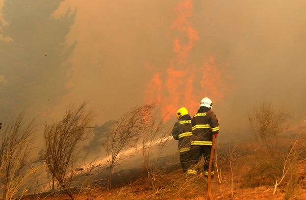 Incendios forestales en Chile - Sputnik Mundo