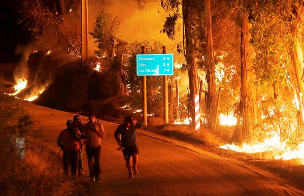 Incendios forestales en Chile - Sputnik Mundo