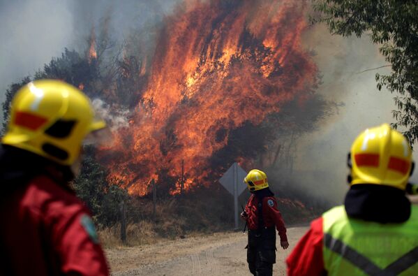 Incendios forestales en Chile - Sputnik Mundo