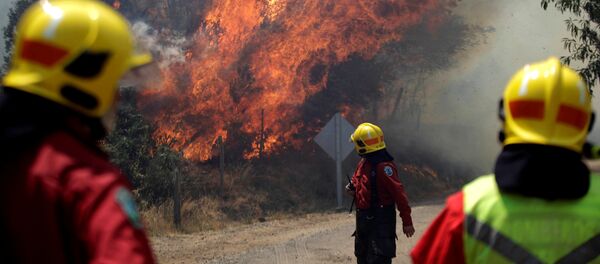 Incendios forestales en Chile - Sputnik Mundo