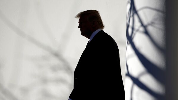 U.S. President Donald Trump walks through the Colonnade to the Oval Office after returning to the White House in Washington - Sputnik Mundo