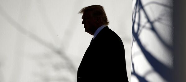 Donald Trump, presidente de EEUU - Sputnik Mundo