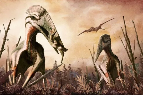 Pterosaurio podría contar con un cuello tres veces más ancho y considerablemente más fuerte que el del Quetzalcoatlus. Pterosaurio podría contar con un cuello tres veces más ancho y considerablemente más fuerte que el del Quetzalcoatlus. - Sputnik Mundo