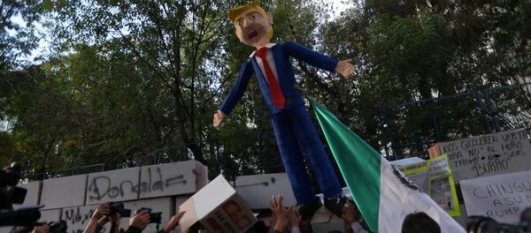 Protesta contra la investidura de Trump en México - Sputnik Mundo