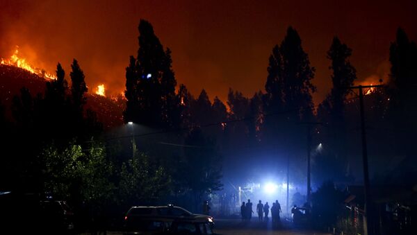 Incendios forestales en Chile - Sputnik Mundo