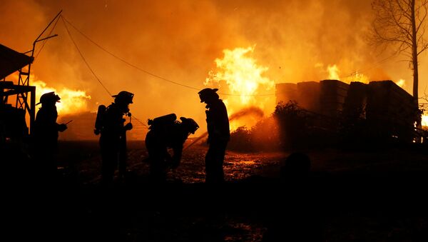 Incendios forestales en Chile (archivo) - Sputnik Mundo