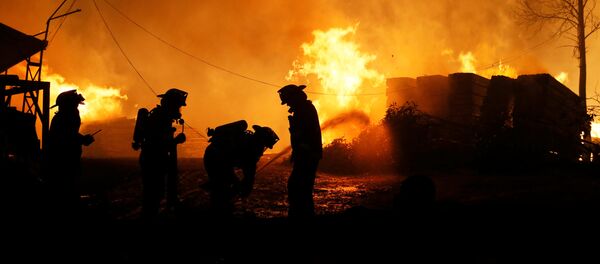 Incendios forestales en Chile - Sputnik Mundo