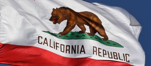 The California State flag flies outside City Hall, in Los Angeles, California on January 27, 2017. - Sputnik Mundo