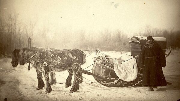 Un carro de correos en Siberia - Sputnik Mundo