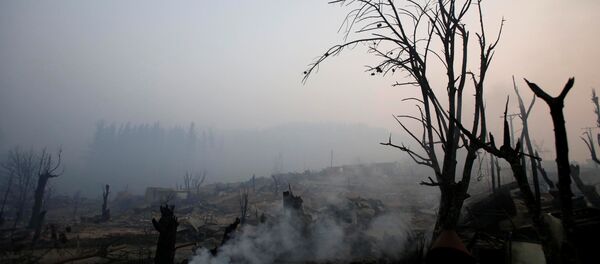 Las consecuencias de incendios en Chile - Sputnik Mundo