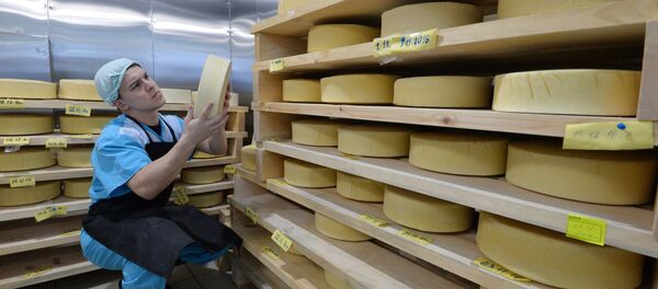 Producción de queso - Sputnik Mundo