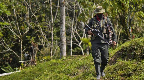 Un guerrillero de ELN (archivo) - Sputnik Mundo