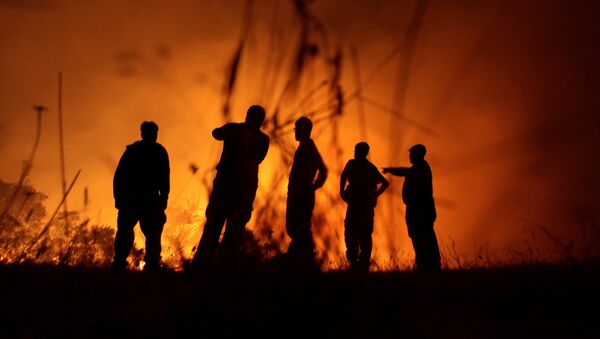 Incendios forestales en Chile - Sputnik Mundo