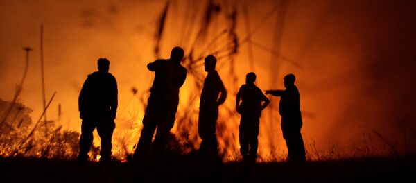 Incendios forestales en Chile - Sputnik Mundo