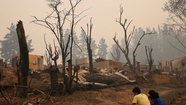 Las consecuencias de los incendios forestales en Chile Las consecuencias de los incendios forestales en Chile - Sputnik Mundo