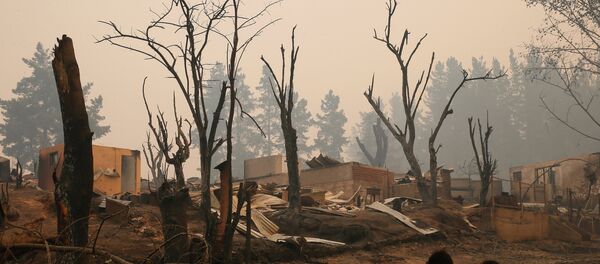 Las consecuencias de los incendios forestales en Chile Las consecuencias de los incendios forestales en Chile - Sputnik Mundo