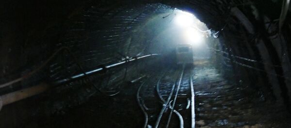 Una mina - Sputnik Mundo