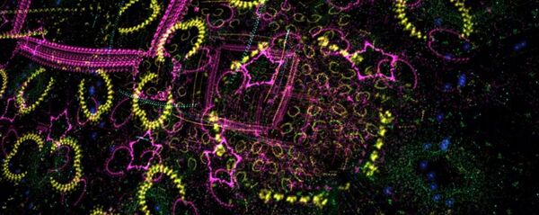 Quantum computation - Sputnik Mundo