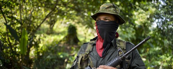 Un guerrillero de ELN - Sputnik Mundo