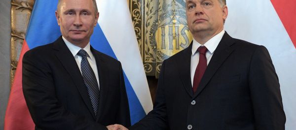 El presidente ruso Vladímir Putin durante su visita de trabajo a Hungría El presidente ruso Vladímir Putin durante su visita de trabajo a Hungría - Sputnik Mundo